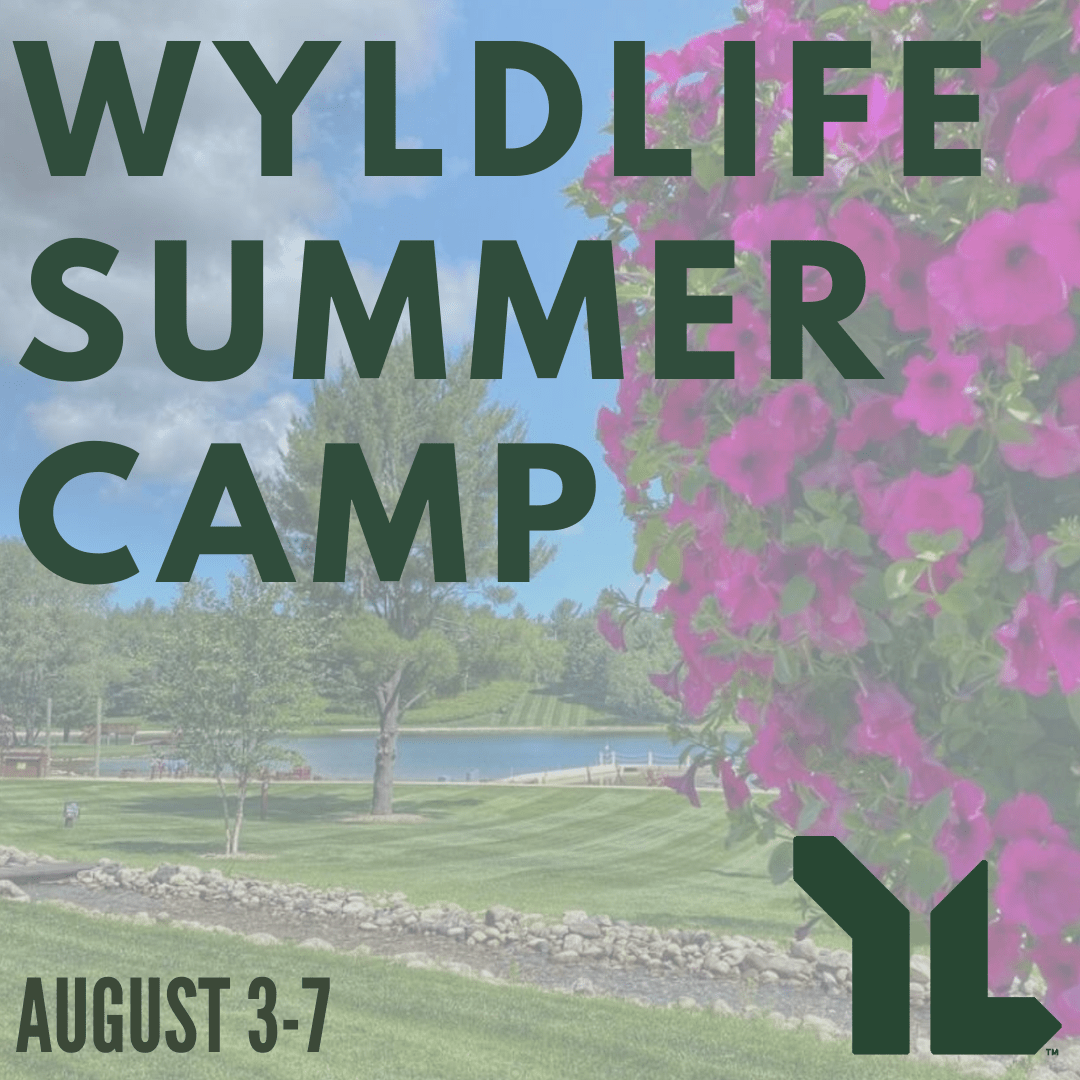 2021 Timber Wolf Lake Wk 13 WL